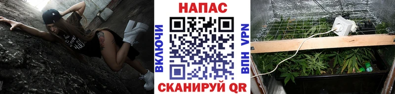 Виды наркотиков купить Новомичуринск Марихуана  МЕФ  ГАШИШ 