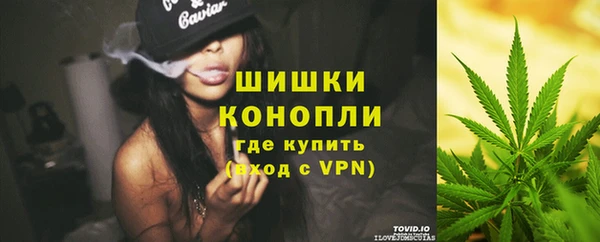 прущие грибы Осташков