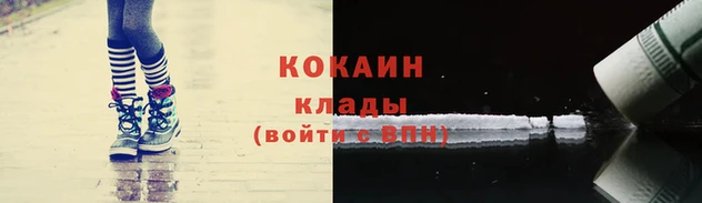 прущие грибы Осташков