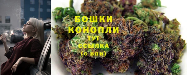 прущие грибы Осташков