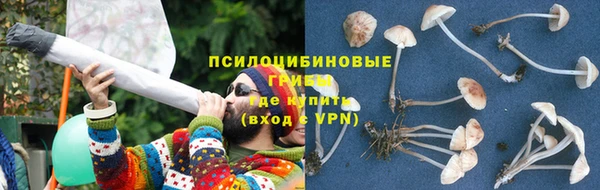 прущие грибы Осташков