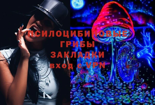 прущие грибы Осташков